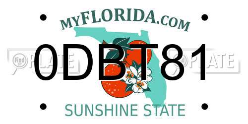0DBT81 Florida License Plate