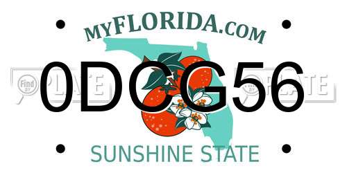 0DCG56 Florida License Plate