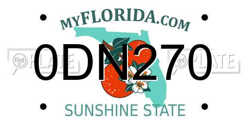 0DN270 Florida License Plate