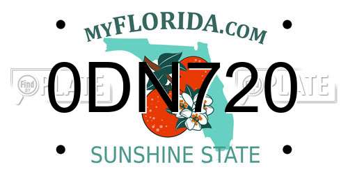 0DN720 Florida License Plate