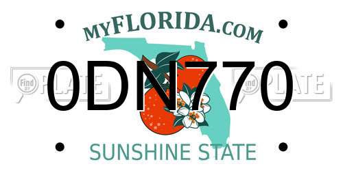 0DN770 Florida License Plate