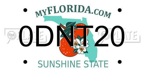 0DNT20 Florida License Plate