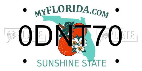 0DNT70 Florida License Plate