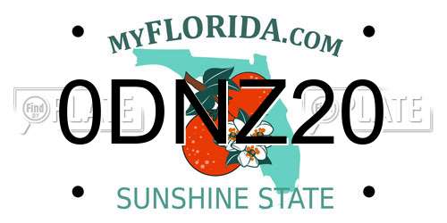 0DNZ20 Florida License Plate