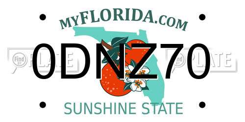 0DNZ70 Florida License Plate