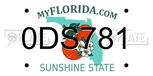 0DS781 Florida License Plate