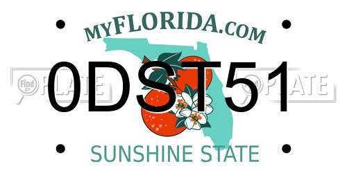 0DST51 Florida License Plate
