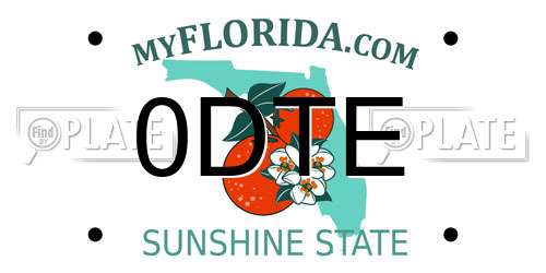 0DTE Florida License Plate
