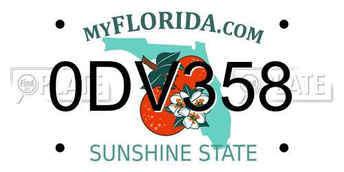 0DV358 Florida License Plate