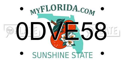 0DVE58 Florida License Plate