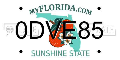 0DVE85 Florida License Plate