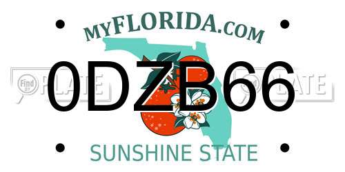 0DZB66 Florida License Plate
