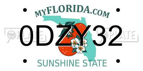 0DZY32 Florida License Plate