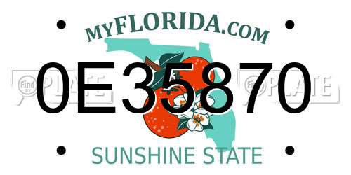 0E35870 Florida License Plate