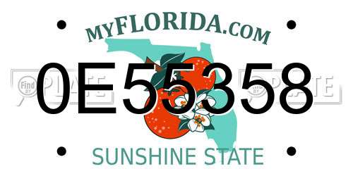 0E55358 Florida License Plate