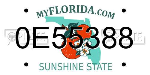 0E55388 Florida License Plate