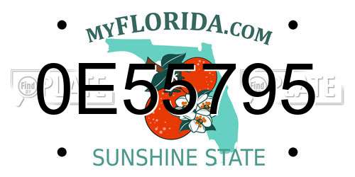 0E55795 Florida License Plate
