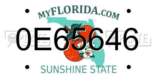 0E65646 Florida License Plate