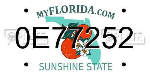 0E77252 Florida License Plate