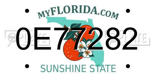 0E77282 Florida License Plate