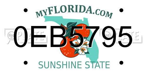 0EB5795 Florida License Plate
