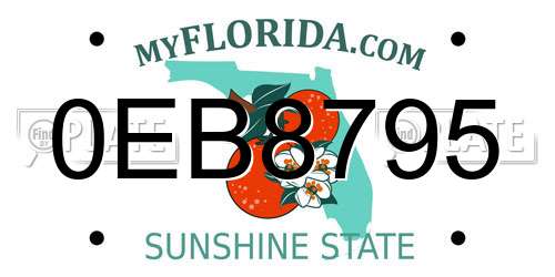 0EB8795 Florida License Plate