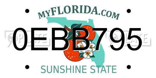 0EBB795 Florida License Plate