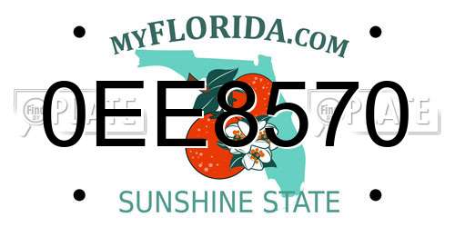 0EE8570 Florida License Plate