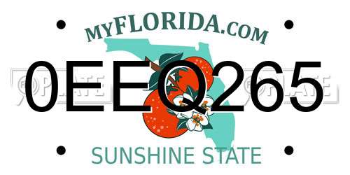 0EEQ265 Florida License Plate