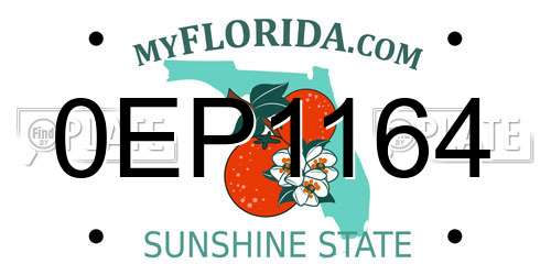 0EP1164 Florida License Plate