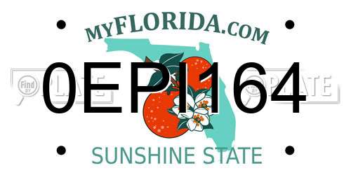 0EPI164 Florida License Plate