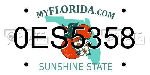 0ES5358 Florida License Plate