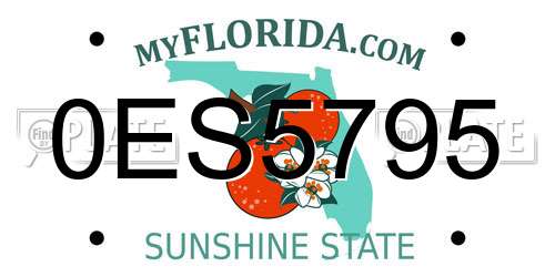 0ES5795 Florida License Plate