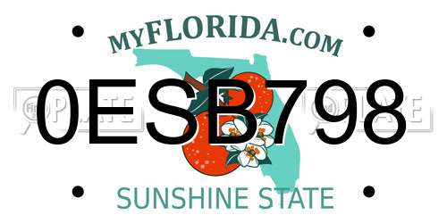 0ESB798 Florida License Plate