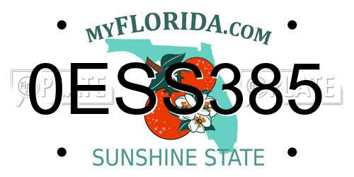 0ESS385 Florida License Plate