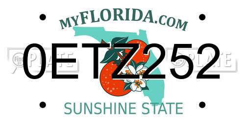 0ETZ252 Florida License Plate