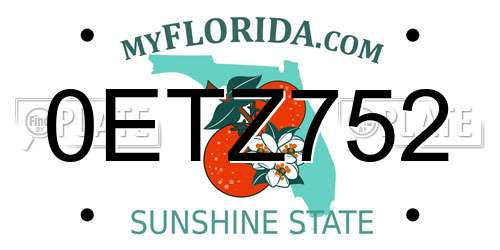 0ETZ752 Florida License Plate