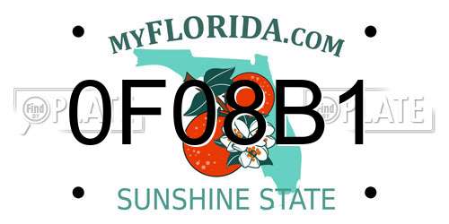 0F08B1 Florida License Plate