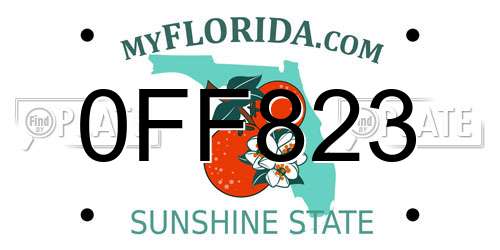 0FF823 Florida License Plate