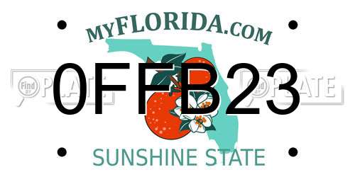 0FFB23 Florida License Plate