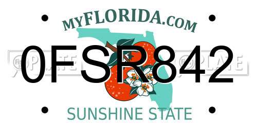0FSR842 Florida License Plate