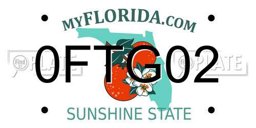 0FTG02 Florida License Plate
