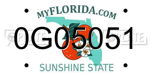0G05051 Florida License Plate