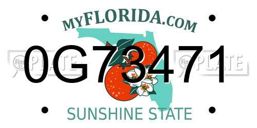 0G73471 Florida License Plate