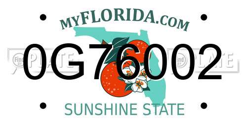 0G76002 Florida License Plate