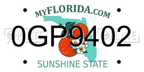 0GP9402 Florida License Plate