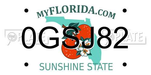 0GSJ82 Florida License Plate