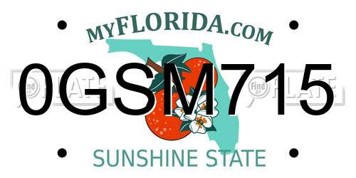 0GSM715 Florida License Plate