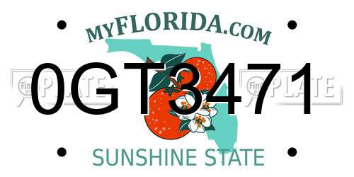 0GT3471 Florida License Plate