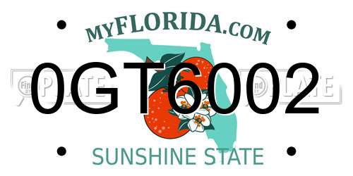 0GT6002 Florida License Plate